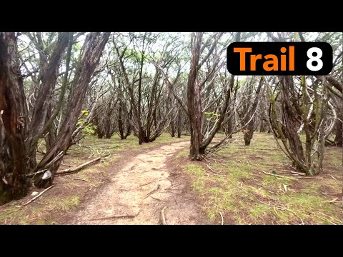 Shinnery Ridge Trail Video Thumbnail