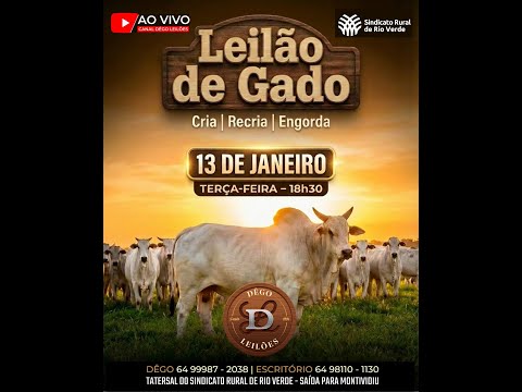 LEILAO DE GADO  13 - 01 - 2026 - Sindicato Rural de Rio Verde - Dêgo Leilões