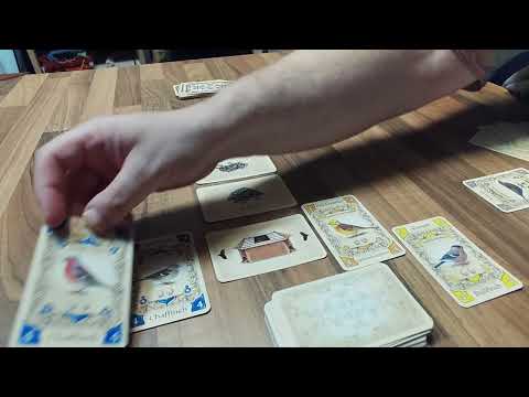 Piepmatz (Little Songbirds) Explanation and Playthru