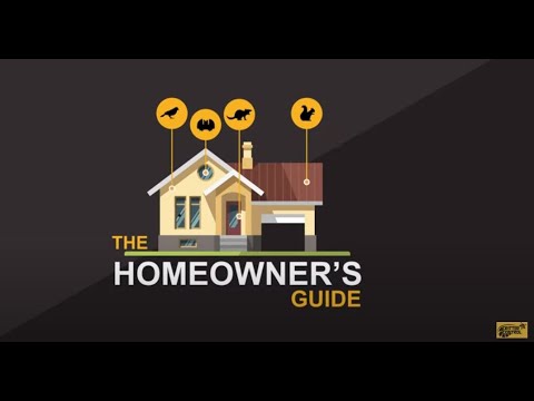 Homeowner's Guide to Raccoon