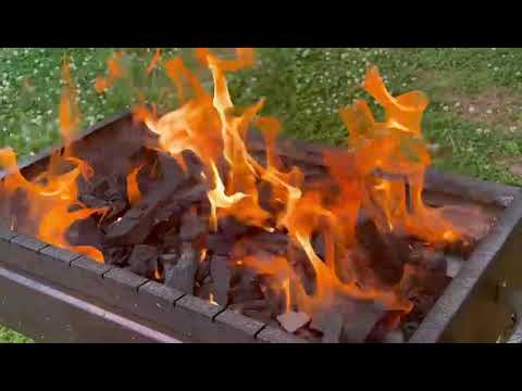 WhatsApp Video 2022 05 01 at 11 01 17 PM