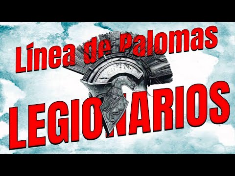 UNA NUEVA LINEA DE PALOMAS con TRABAJO SELECTIVO