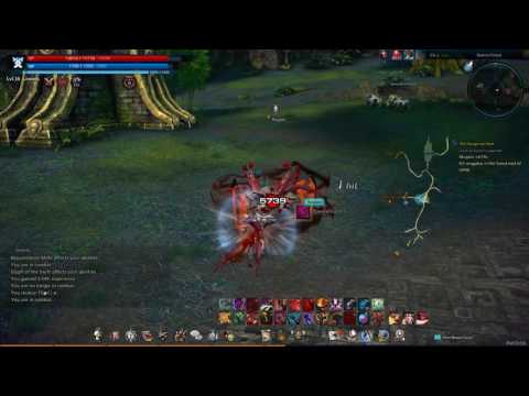 The Dangerous Nest Quest TERA