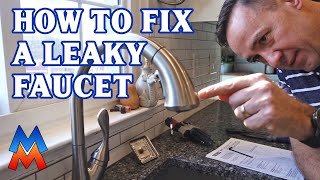 Fixing a Leaky Delta Faucet - Try this First Before Replacing the Single Handle Valve Cartridge
