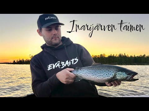 TAIMENEN KALASTUSTA INARILLA || JIGI KALASTUSTA || LIVE KALASTUSTA || EVÄBAITS