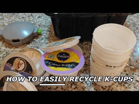 download lagu mp3 mp4 Individual K Cups For Sale, download lagu Individual K Cups For Sale gratis, unduh video klip Individual K Cups For Sale