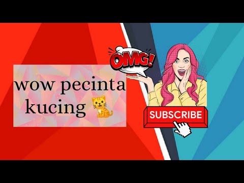 Wow pecinta kucing