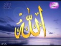 Wa Tu Izzu Man Tashaa By Hafiz Ishfaq