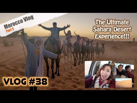Vlog #38:  Sahara Desert Experience | Our First Camel Ride & Luxury Camping (Glamping) wootwooot!!!
