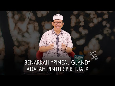 Cangkir Tasawuf Modern eps. 256 - “PINEAL GLAND” BENARKAH MENJADI PINTU SPIRITUAL?