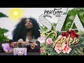 SZA - Garden (Say It Like Dat) REACTION SZA - Garden (Say It Like Dat) REACTION