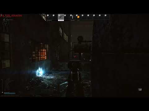 Killed 2 nakeds running pistols with quakemaker ammo