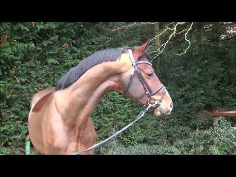 Coeur de Lion II S v. Cassoulet x Contract