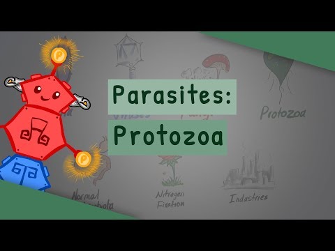 Paraziták példái parazitákra