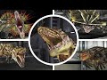 Dino Crisis 3 HD All Bosses Ending