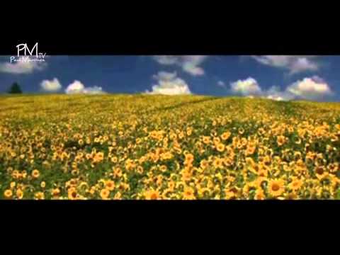 Paul Martinez - Claustrum (Fiddler Flying Remix)