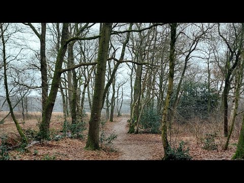 pieterpad etappe 3 - groningen naar zuidlaren