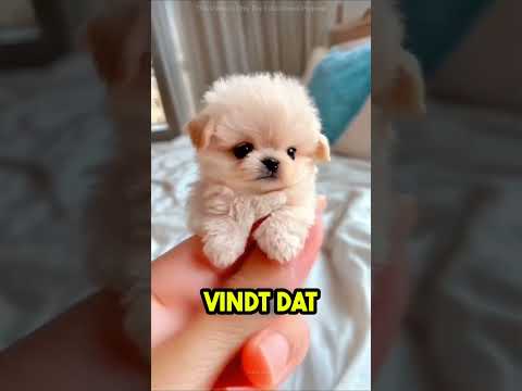 Enorme Watertoren Stort In Voor De Camera! 💦🔥