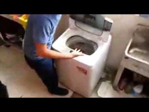 NochiBalzary’s Video 105454929646 V4ipskPHZzA