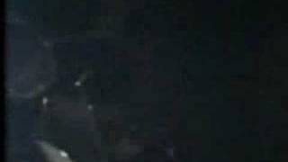 Bestial Warlust - Heathens