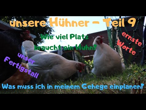 unsere Hühner Teil 9 - wie viel Platz braucht ein Huhn, unser Sommerstall und ein paar ernste Worte