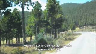 preview picture of video 'Viajando a la Granja Porcón Cajamarca/Perú'