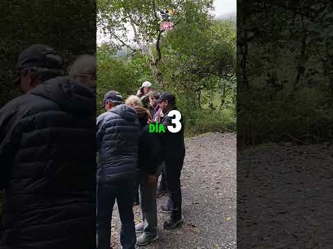 🌿🦜✨ Parque Nacional del Manu 4D/3N: una aventura donde la naturaleza cobra vida 💚