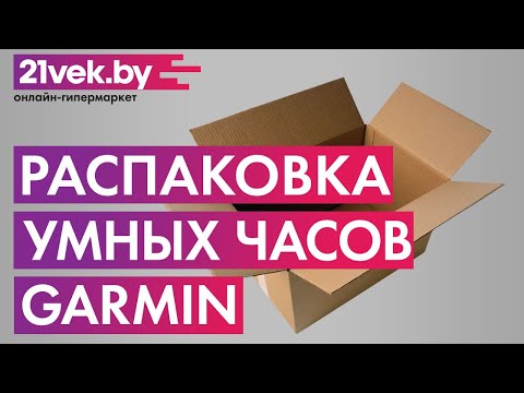 Миниатюра изображения товара Умные часы Garmin Vivoactive 4 / 010-02174-03 (серебристый/серый)