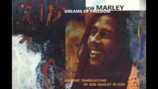 Bob Marley  So Much Trouble In The World Dub
