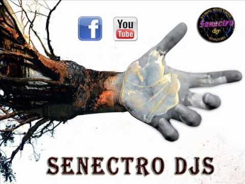 Electro House Mix July 2011 | Senectro Djs
