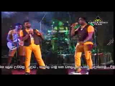 Salli salli-Arrow Star