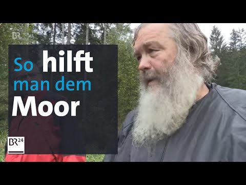 Klimaschutz und Artenvielfalt: Helfer im Moor | BR24