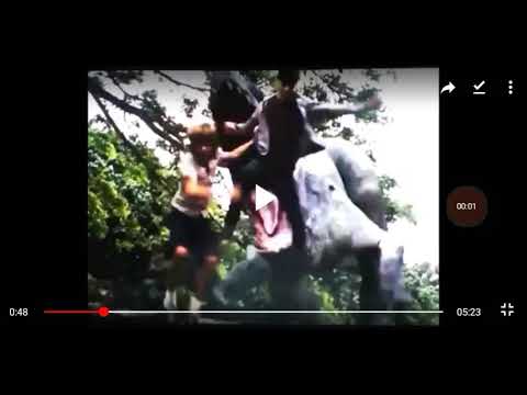 Toon Age Dawn Of The Animals(3)