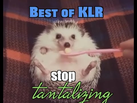 Funniest Animal Voiceovers - Ep. 4