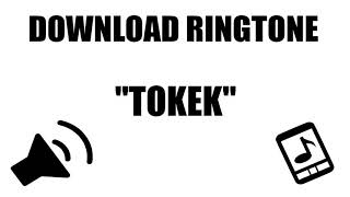 Download Efek Suara Ringtone Tokek...