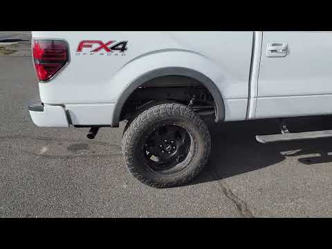 3.5 Ecoboost F-150 Straight Pipe Cat Back Exhaust
