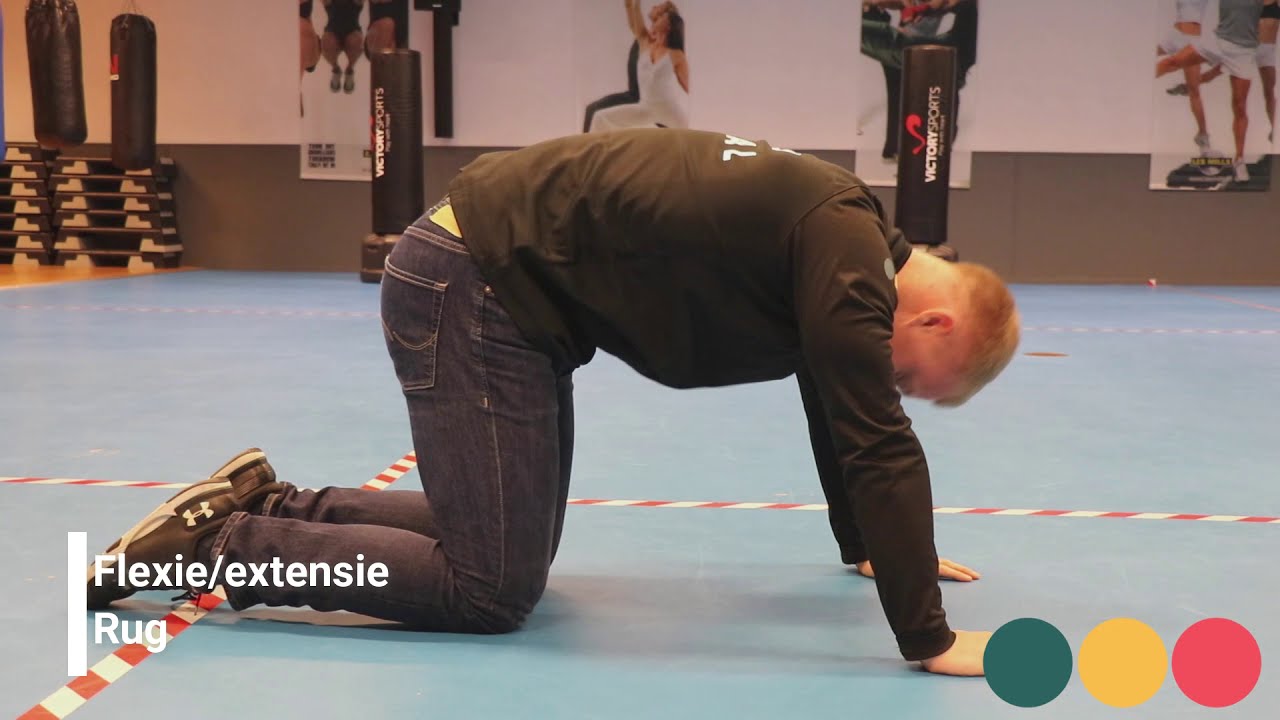 Video thumbnail: Flexion extension back - instructional video