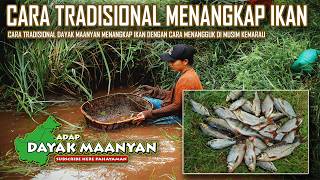 Download lagu Authentic Life of the Dayak Ma'anyan Tribe, Traditional Fishing Method, Nikep mp3 Download lagu Authentic Life of the Dayak Ma'anyan Tribe, Traditional Fishing Method, Nikep mp3