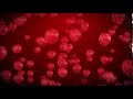 Flying Red Hearts Balloons Background
