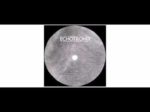Afrikan Simba / Michael Prophet -  So Important/Hold Them - 10" - Echotronix