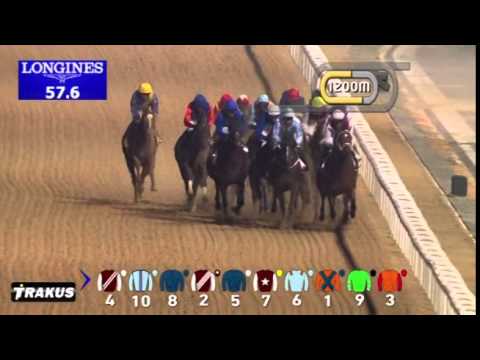 22.01.2015 Meydan (Dubai/UAE) 2.Race Friday - Handicap 2.000 m