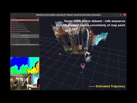 Statistical Uncertianty Leraning for Robust Visual-Inertial Odoemtry - LORIS(RGBD)