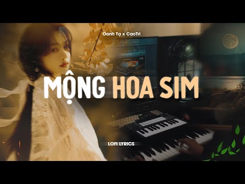 Mộng Hoa Sim (Lofi Acoustic) - Oanh Tạ x CaoTri