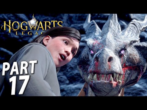 Hogwarts Legacy Walkthrough: A Dragon for a Friend! Gameplay #17