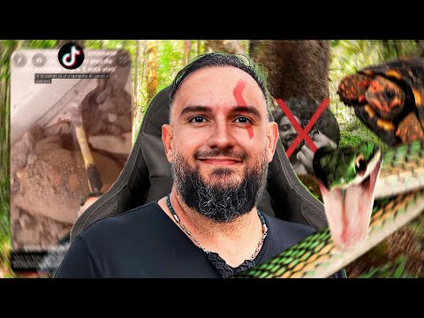 REVISÃO de NATUREZA para o ENEM (ENEM 2019)