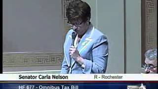 Senator Nelson Floor Speech on Senate Omnibus Tax Bill 2013