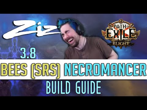 Ziz - 3.8 BLIGHT BEEEEE'S Exploding SRS Starter Build Guide!