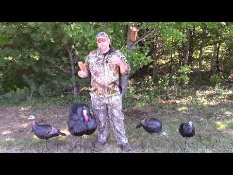 Top 5 Strategies for Calling In Fall Turkeys with Blaine Cardilli