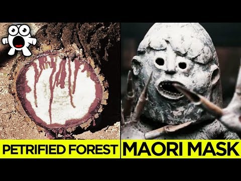 Scary Cursed Objects Scientists Still Can't Explain