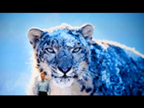 Apple WWDC 2009 Keynote Coverage - part 2 - Snow Leopard
